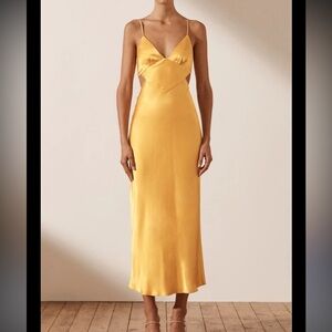 NWT Shona Joy Dress